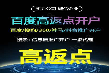 百度竞价运营策略：成功案例解析